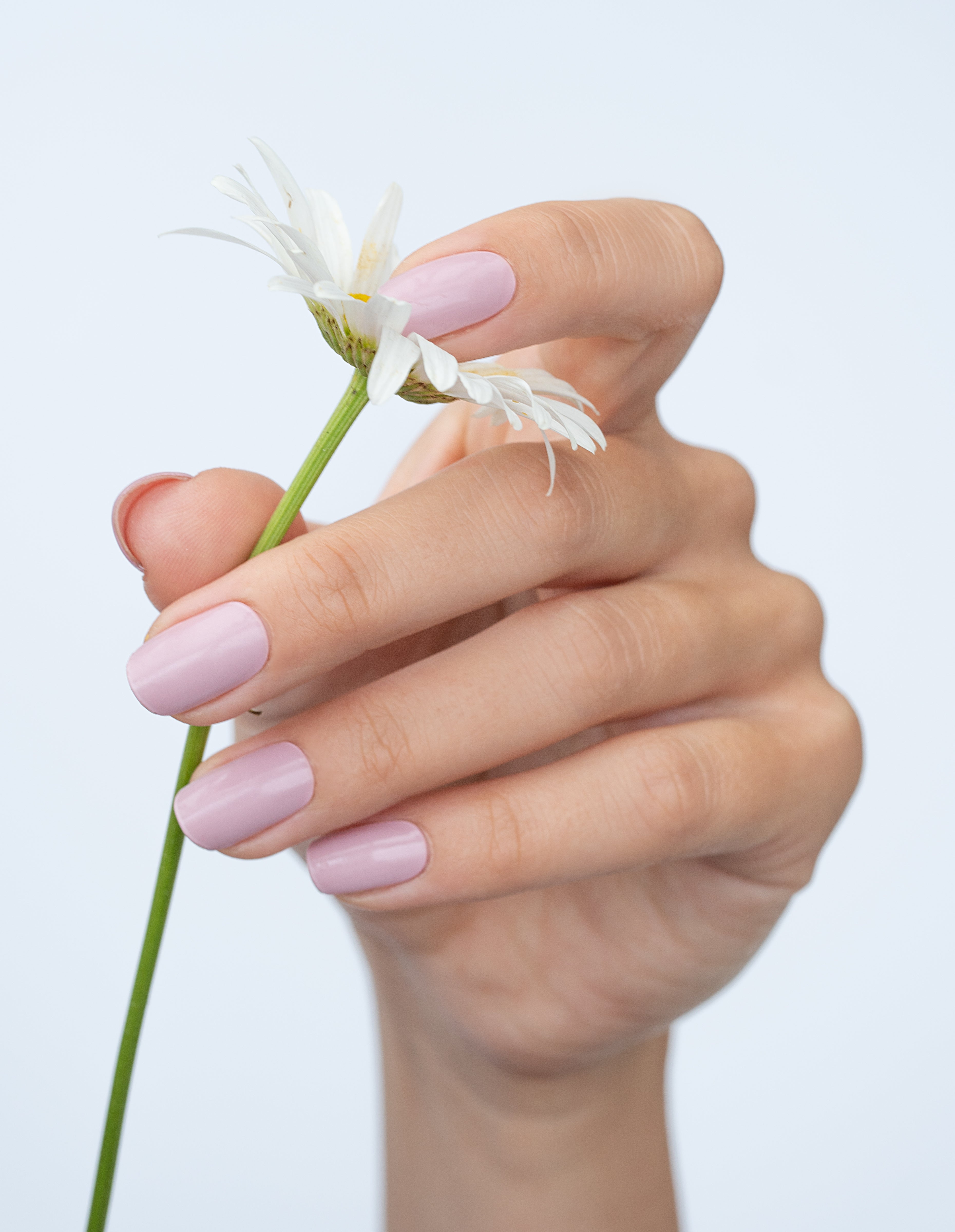 miss-sophie-s-sugar-babe-uv-gel-nagelfolien-zartes-nude-rosa-24-uv-gel-folien image 3
